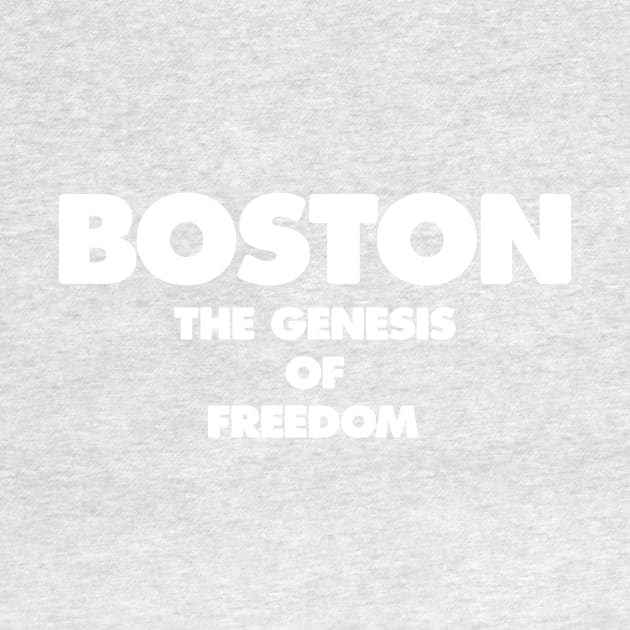 Boston - The Genesis of Freedom by Magicform